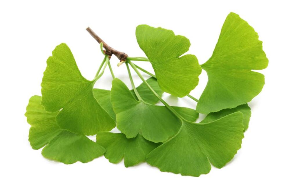 gingko biloba kapslites Glucoren